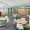 Merit Award: IDEXX Synergy Center