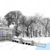 2013 AIANH Commendation Award, Unbuilt Architecture: Island Shack, Bart Sapeta AIA